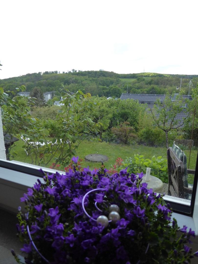 Ausblick Zimmer 1